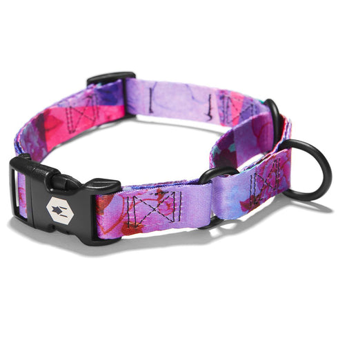 Coastal Drop Wolfgang Martingale DayDream XLarge Dog Collar 22-29" - Poudre Pet and Feed Supply